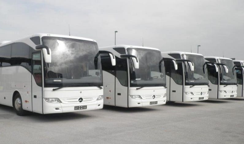 Apulia: Bus company in Manfredonia in Manfredonia and Italy