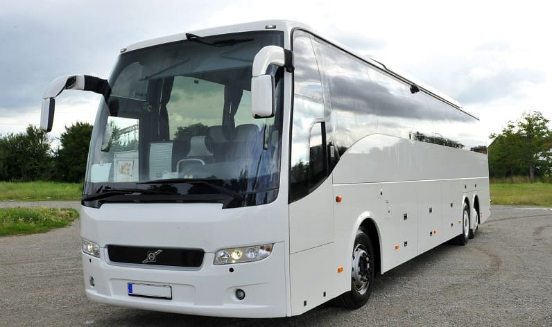 Italy: Buses agency in Apulia in Apulia and Manfredonia